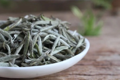 哈尔滨茶艺班