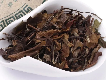哈尔滨茶艺班