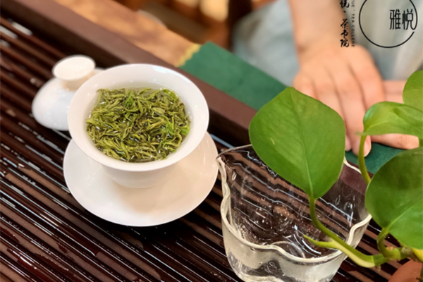 哈尔滨正规的茶文化培训学费多少