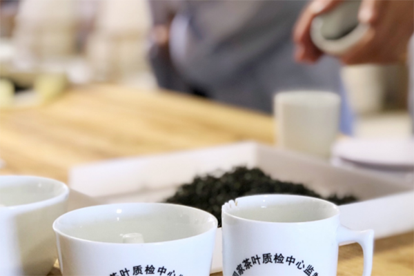 齐齐哈尔正规的茶艺师培训费用