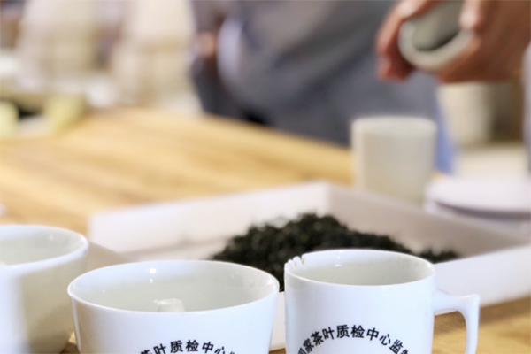 铁岭专业的茶艺师培训班课程