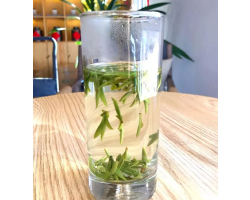 哈尔滨茶艺学校