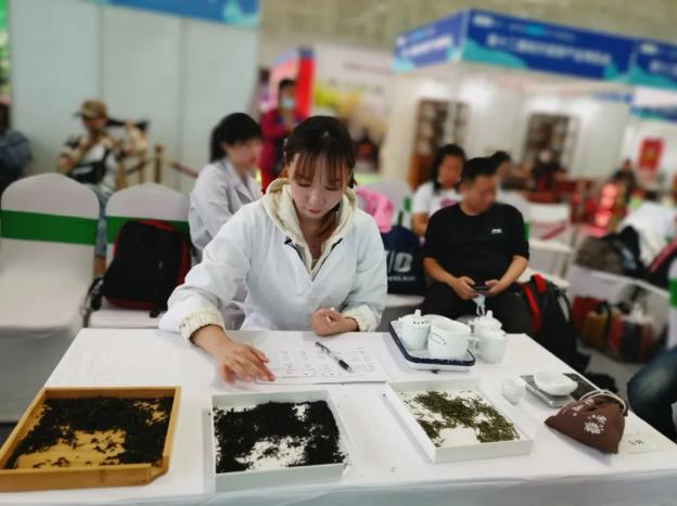 哈尔滨茶艺培训