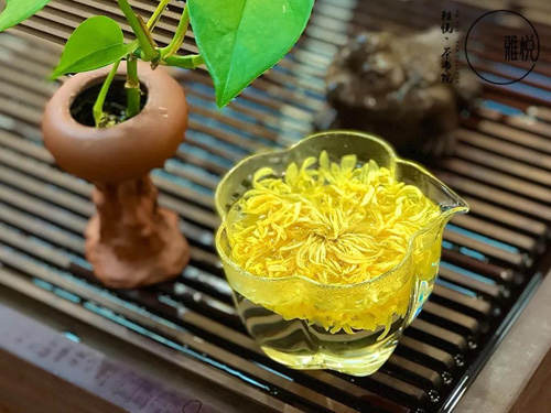 哈尔滨茶艺培训