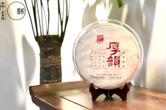 哈尔滨茶艺培训