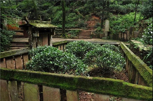 哈尔滨茶艺培训