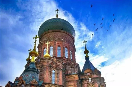 哈尔滨茶艺培训