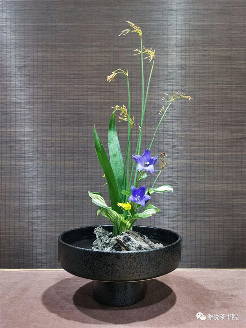 哈尔滨茶艺培训 哈尔滨茶艺培训