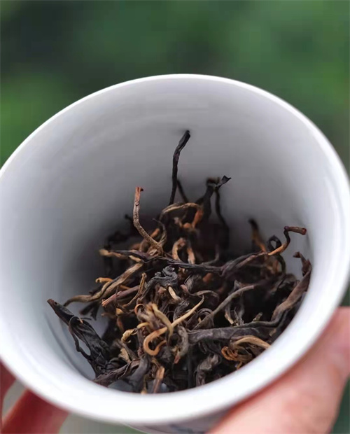 哈尔滨茶艺学校