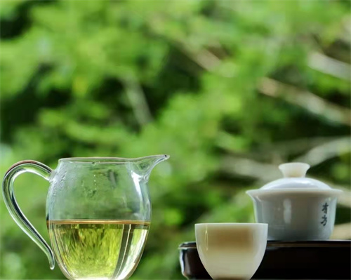 哈尔滨茶艺学校