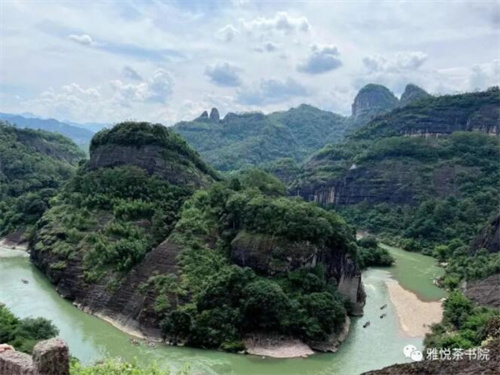 哈尔滨茶艺培训