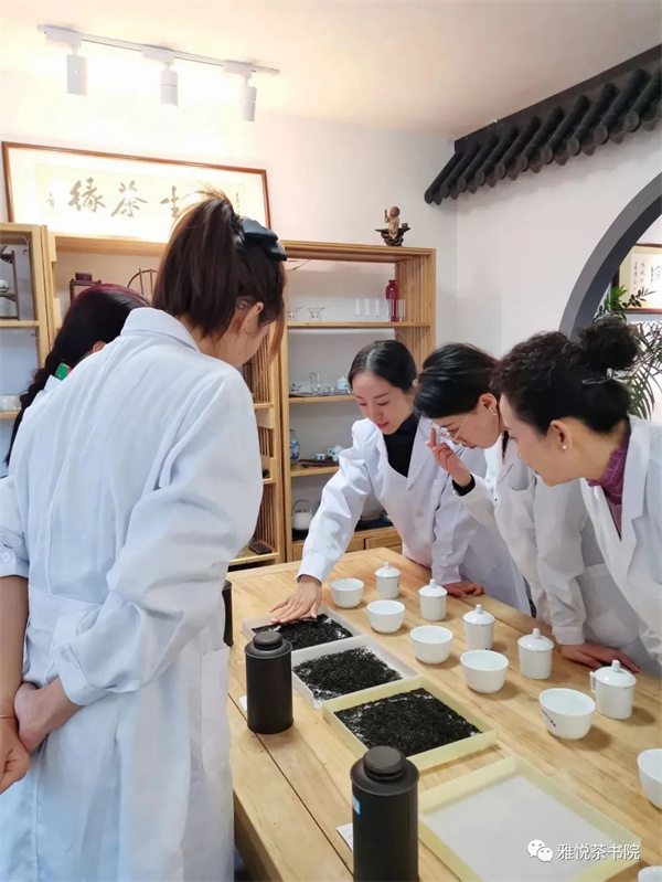 哈尔滨茶艺班